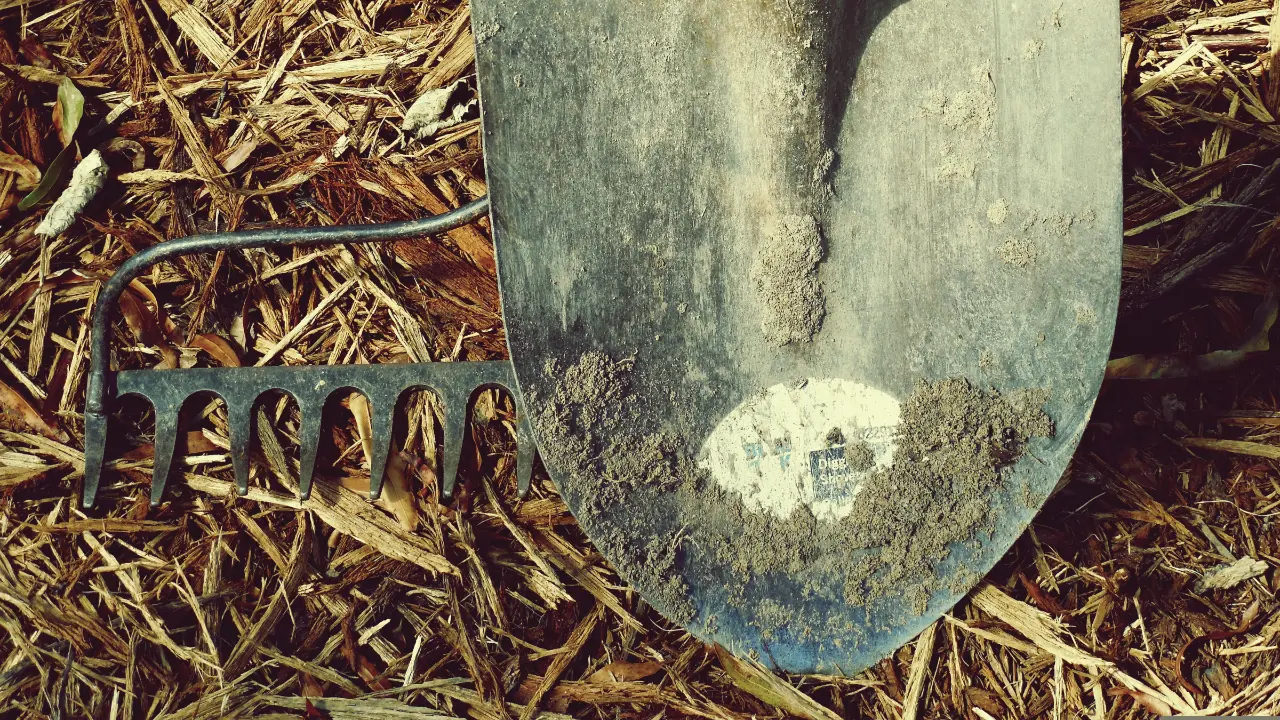 Photo of shovel in dirt