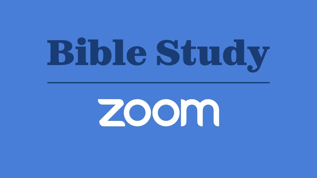 Zoom logo